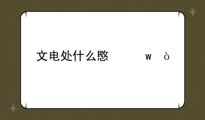 文电处什么意思？