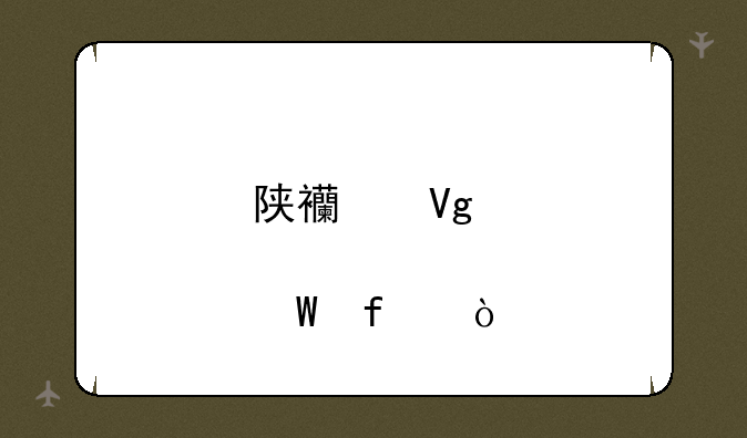 陕西教育考试院？