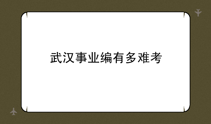武汉事业编有多难考