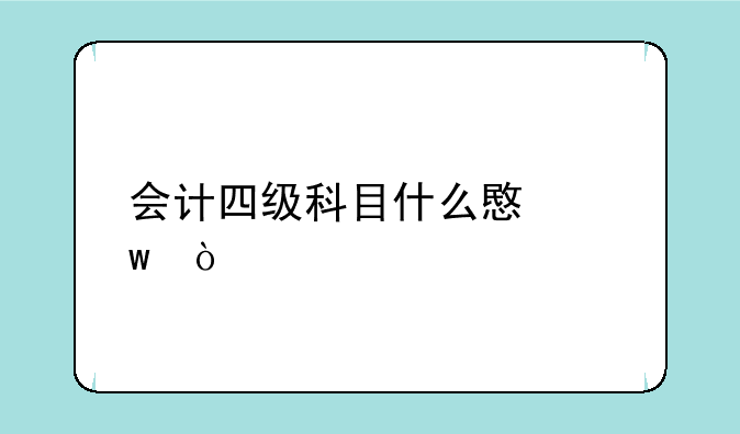 会计四级科目什么意思？