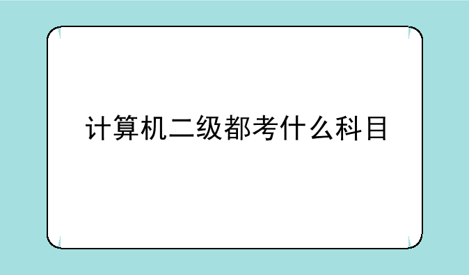 计算机二级都考什么科目