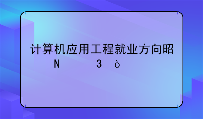计算机应用工程就业方向是哪里？
