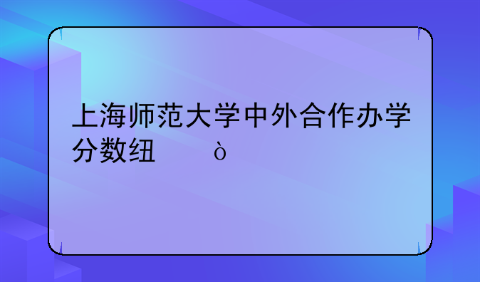 上海师范大学中外合作办学分数线？